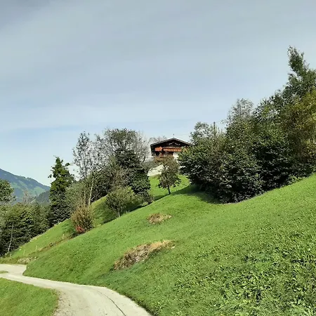 Апартаменти Mountain *